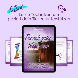 Tierisch guter Wegweiser