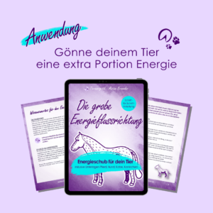 Die grobe Energieflussrichtung