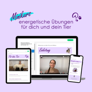 Minikurs - energetische Übungen für dich und dein Tier