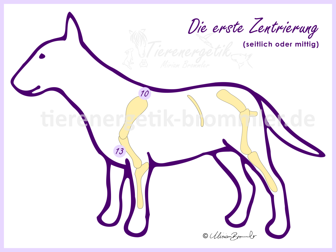Hund: die erste Zentrierung