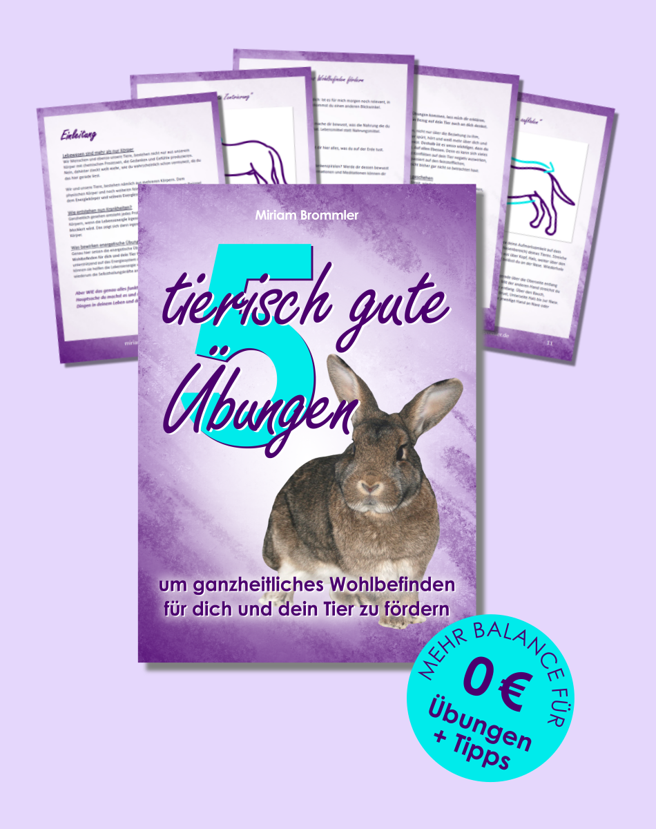 Mockup für Freebie energetische Übungen