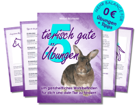 Mockup_5_tierisch_gute_Uebungen_einfach_2